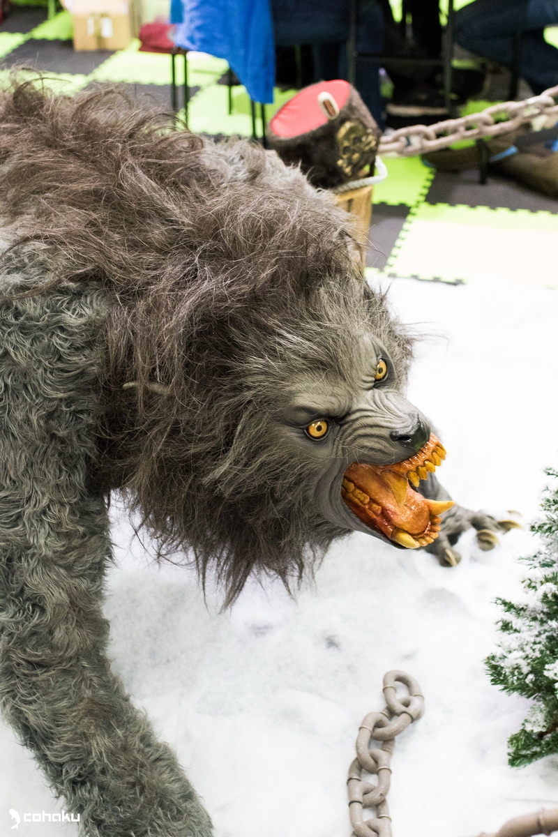 20150516-JQ3A6938_Bildgröße ändern