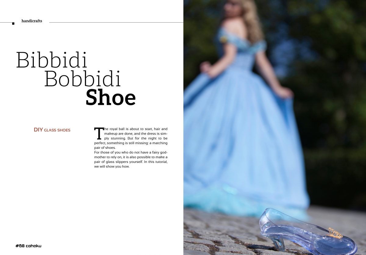 DIY Glass shoe