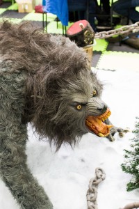 20150516-JQ3A6938_Bildgröße ändern